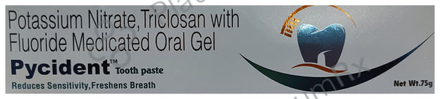 Pycident Toothpaste 75gm