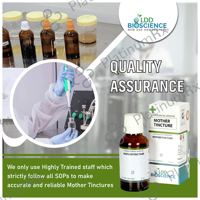 LDD Bioscience Bryonia Alba Mother Tincture Q 100 ml