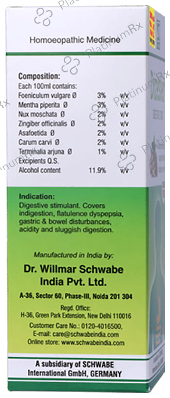 Dr Willmar Schwabe India Dizester Digestive Tonic Sugar Free 200 ml