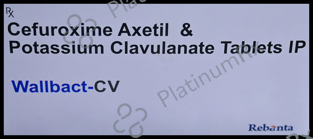 Wallbact CV 500/125mg Tablet 10s