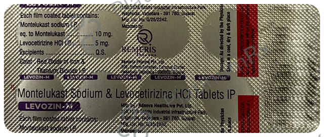 Levozin-M Tablet