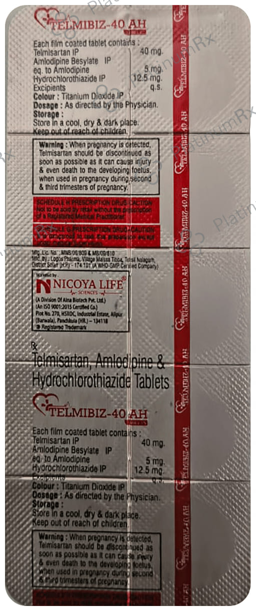 Telmibiz AH Tablet 10s