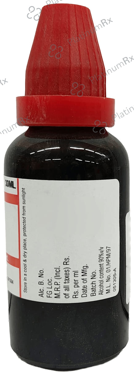 Dr Willmar Schwabe India Insulinum Dilution 30 CH