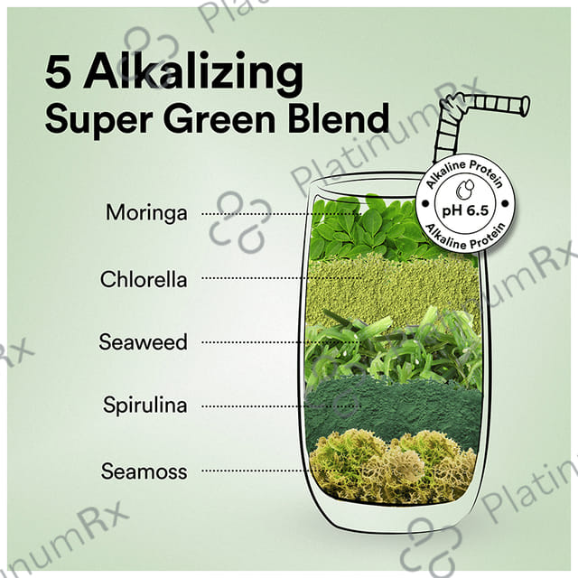 Wellbeing Nutrition Superfood Plant Protein for Muscle Growth & Metabolism - Flavour Powder French Vanilla Caramel