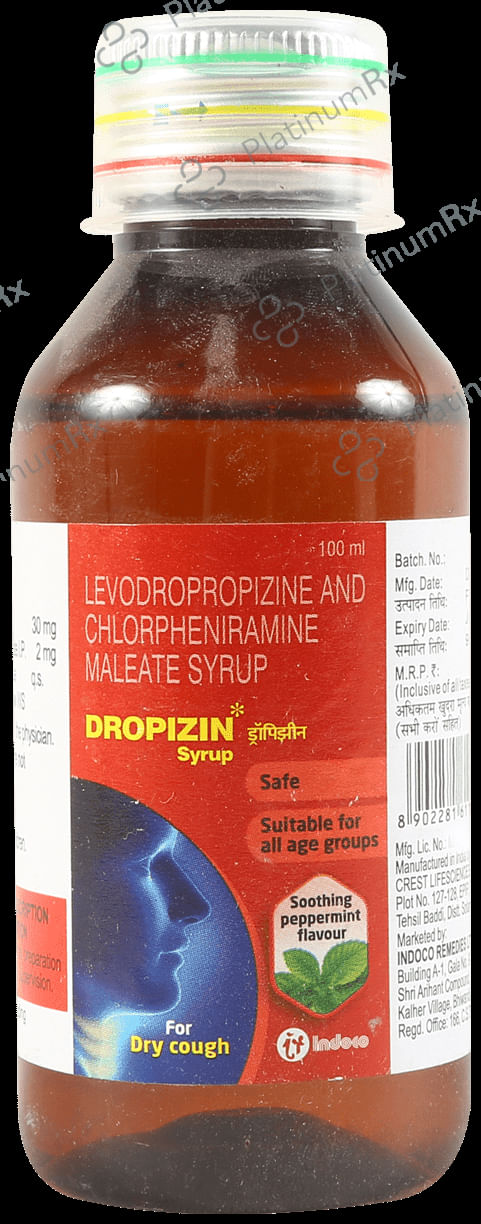 Dropizine SF Syrup 100ml