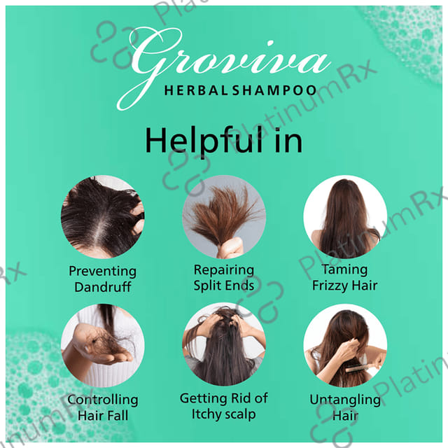 Groviva Herbal Shampoo