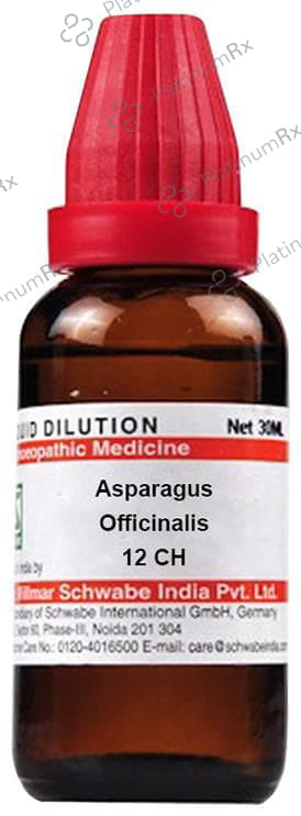 Dr Willmar Schwabe India Asparagus Officinalis Dilution 12 CH