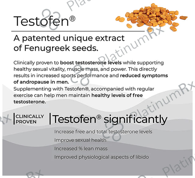Wellbeing Nutrition Melts into Testo Power with Testofen + Himalayan Shilajit - Sugar Free Oral Thin Strip - Flavour Cool Mint