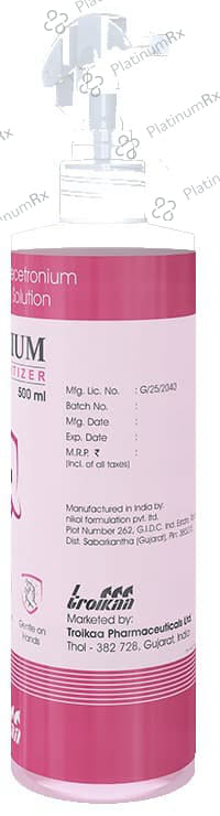 Hyginium Hand Sanitizer Solution 500ml