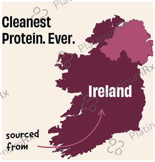 The Whole Truth Protein for Everyone Powder 15gm Protein Per Scoop Ragi Cocoa