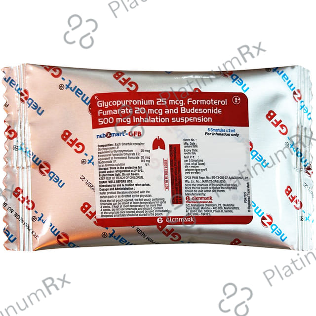 Nebzmart GFB 500/20/25mcg Smartules 5X2ml