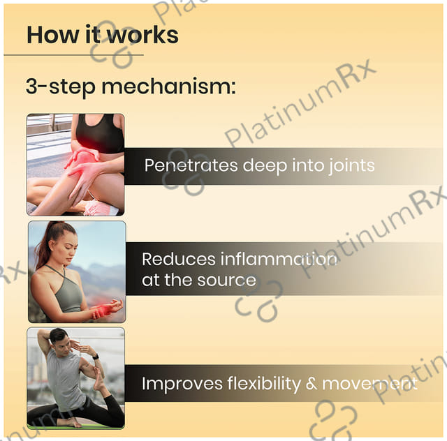Orthomol An Effective Pain Reliever Oil (100ml Each) 1 Bottle
