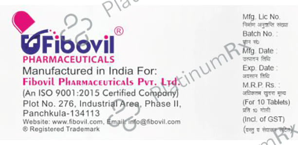 Vilzyme P Tablet 10s