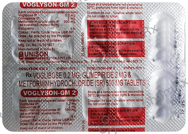 Voglyson GM Tablet