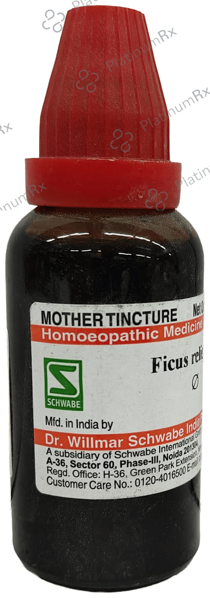 Dr Willmar Schwabe India Ficus Religiosa Mother Tincture Q