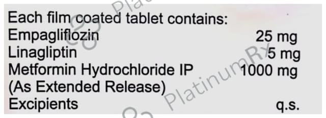 Empaone Lm Er 25/5/1000mg Tablet 10s