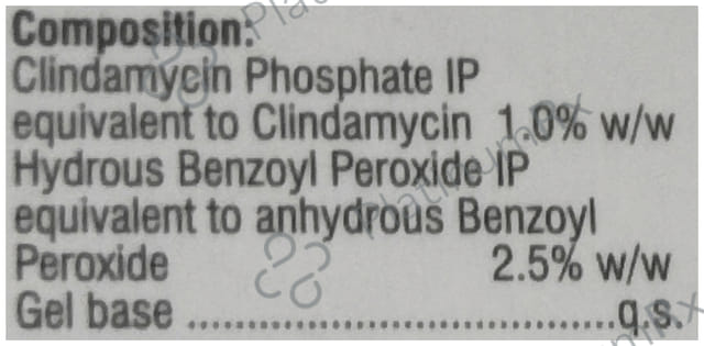 Benzonix Cl 2.5% Gel 20gm