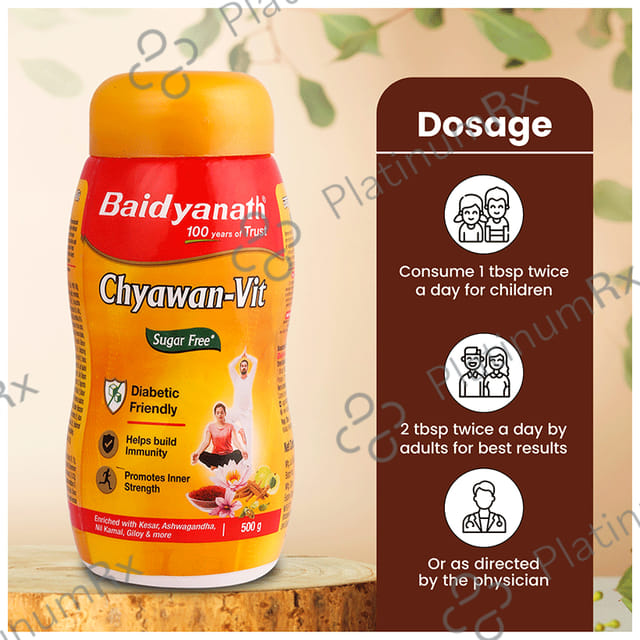 Baidyanath Noida Chyawan Vit Sugarfree Chyawanprash 500gm