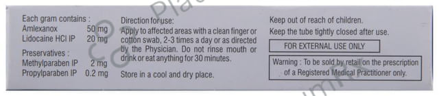Lexanox Plus Oral Paste Sugar Free 5gm