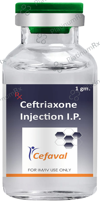 Cefaval Injection