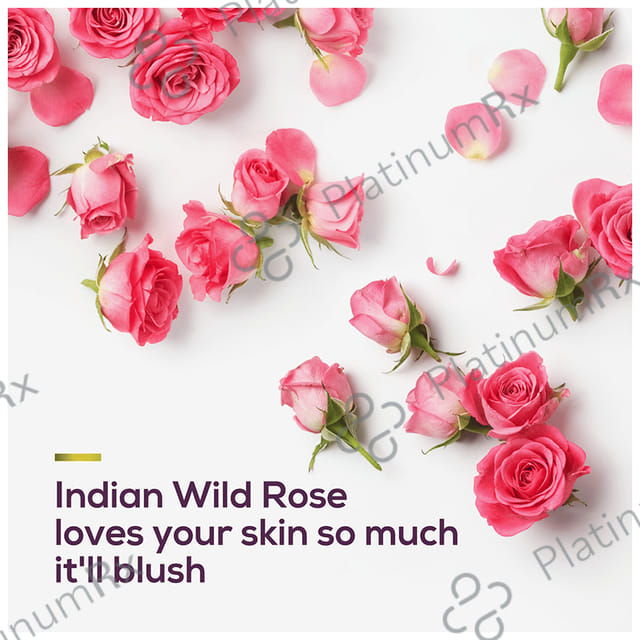 Santoor Blushing Fragrant Skin Body Wash