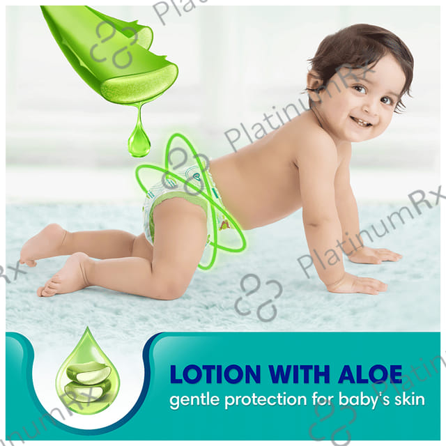 Pampers All Round Protection Anti Rash Blanket Medium diapers 42s