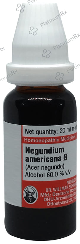 Dr Willmar Schwabe Germany Negundium Americana Mother Tincture Q