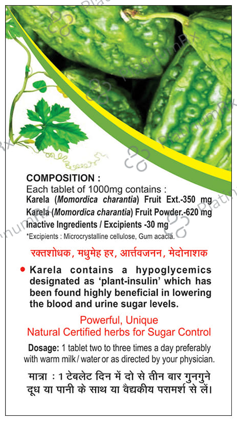 Basic Ayurveda Karela (Bitter Gourd) Tablet