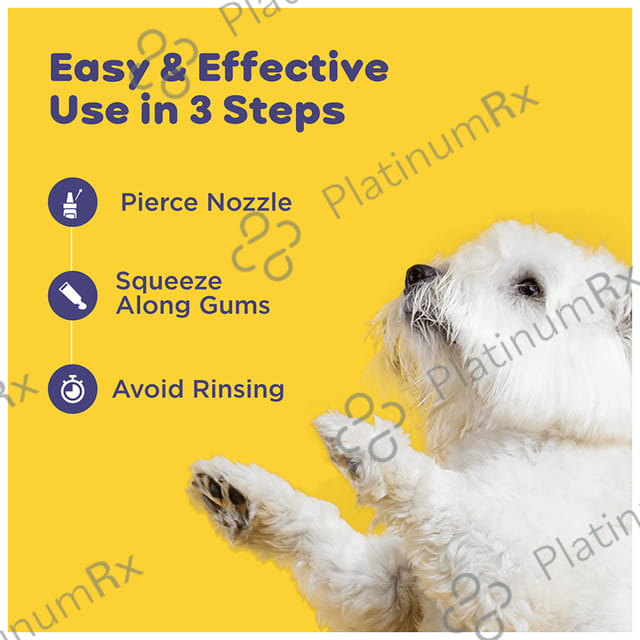 Pil's Pet Dentagel - Cat & Dog Toothpaste - Squeeze Only- No Brushing,No Rinsing