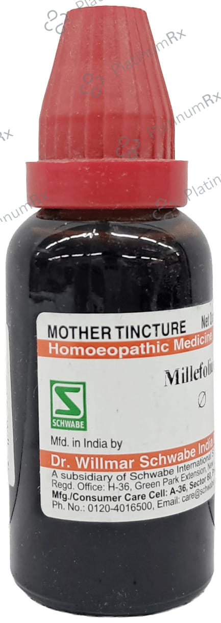 Dr Willmar Schwabe India Millefolium Mother Tincture Q