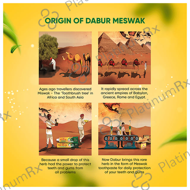 Dabur Oral Care Meswak Complete Toothpaste 300gm
