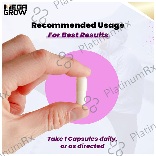 Megagrow Milk Thistle Capsule Support Liver Health & Boost Immunity with Natural Silymarin Extract