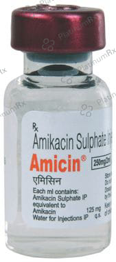 Amicin 250mg Injection 1s