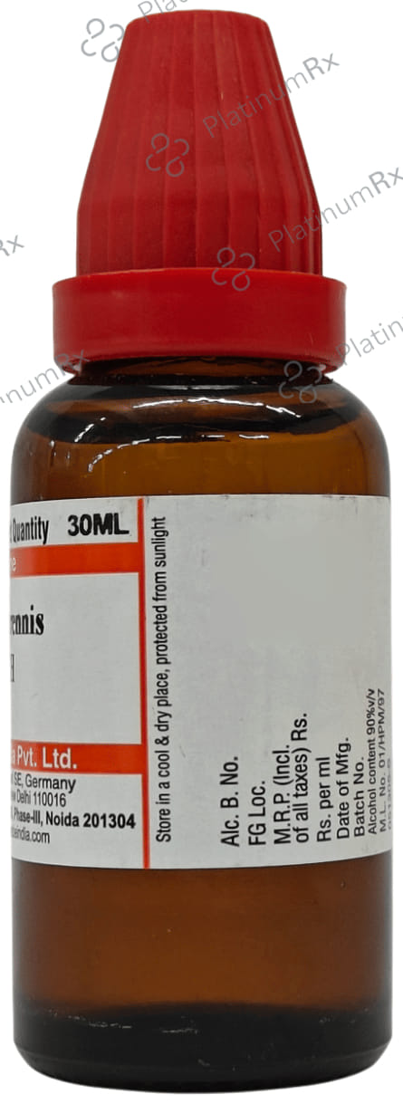 Dr Willmar Schwabe India Bellis Perennis Dilution 30 CH