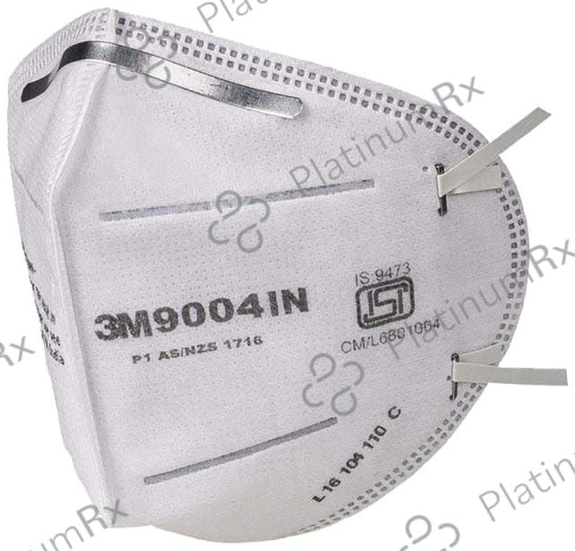 3M 9004IN Dust/Mist Respirator Mask 10 masks