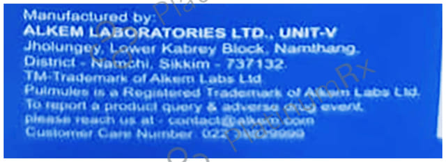 Iprasure Pulmules 500mcg/1.25mg Solution 5X2.5ml