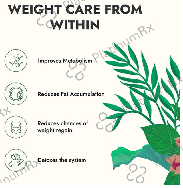 Kapiva Weights Wise Foods -With Ginger, Cinnamon and Garcinia for Weight Management - Get Slim Green Tea Sachets