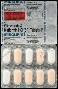 Minglip G 2 2/500mg Tablet SR 10s