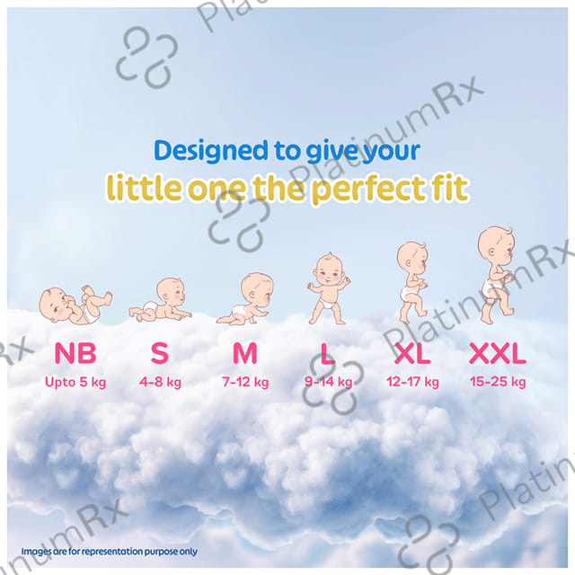 Little's Comfy Cottonsoft Baby Pants Diaper - Size Large