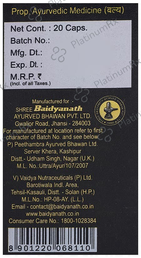 Baidyanath (Jhansi) Vita-Ex Gold