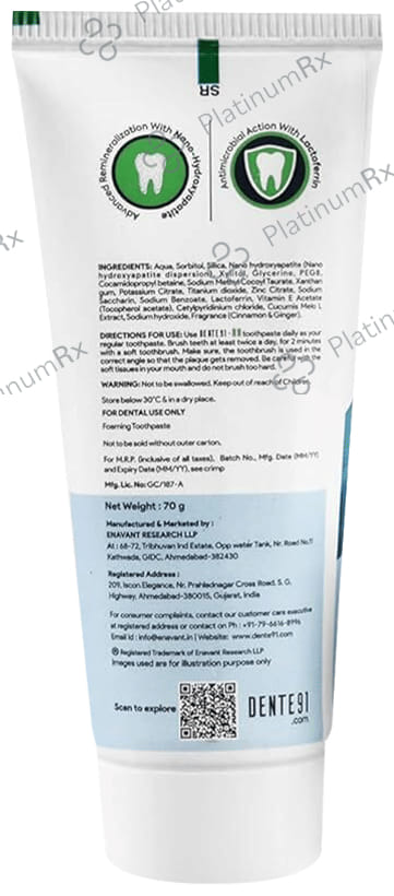 Dente 91 DB Cinnamon & Ginger Flavour Toothpaste 70gm
