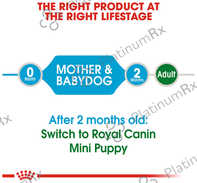Royal Canin Mini Dog Pet Food Starter 3 kg