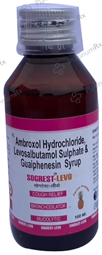 Sogrest-Levo Syrup Pineapple