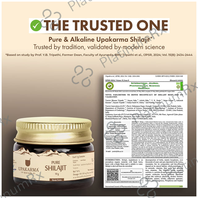 Upakarma Ayurveda Pure Shilajit Resin Form
