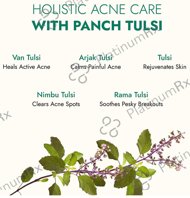 Kapiva Tulsi Anti Acne Serum