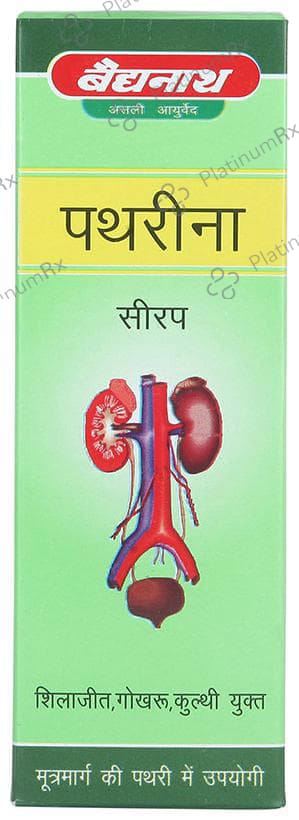Baidyanath (Jhansi) Pathreena Syrup