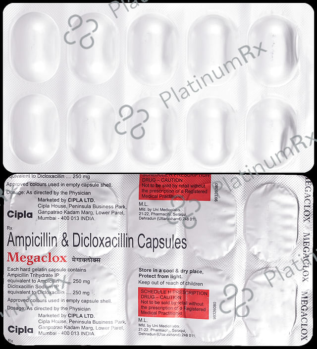 Megaclox 250/250mg Capsule 10s