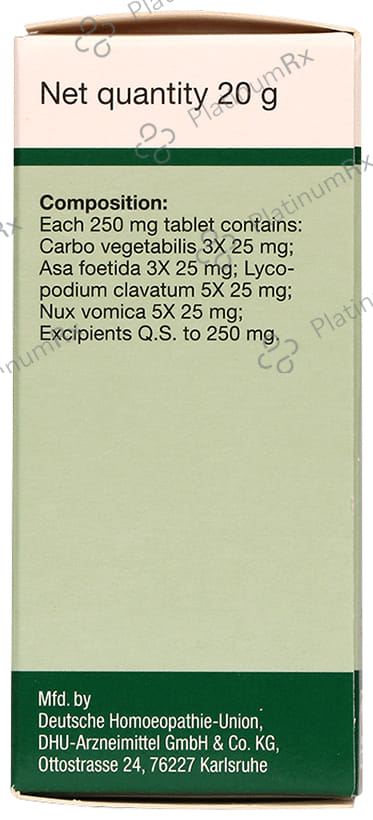 Dr Willmar Schwabe Germany Carbo Vegetabilis Pentarkan Ptk. 22 Tablet