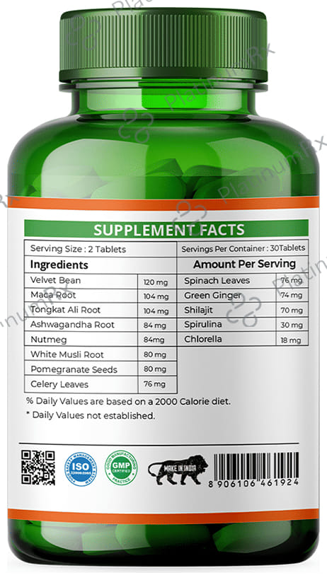 Divya Himalayan Swarn Shakti Rasayan Tablet