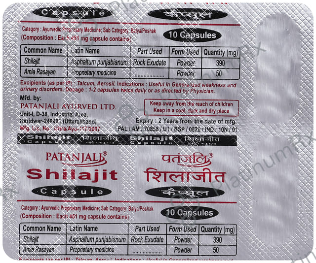Patanjali Ayurveda Shilajit Capsule